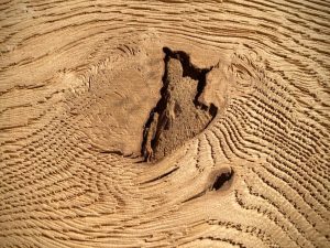 Eiche Holz Sandgestrahlt Möbel Tischlerei Dresden Sinnesmagnet Holzmuster Asteiche Wildeiche