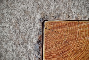 Holz und Stein Gartentisch Möbel Dresden Gartengestaltung