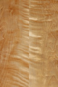 Holzmuster Birke Massivholz Möbel Tischlerei Dresden