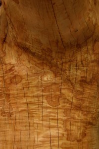 Edelkastanie Holzmuster Esskastanie Spielplatzbau Dresden resistente Hölzer für Außenbereich