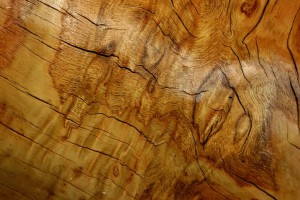 sinnesmagnet impressum