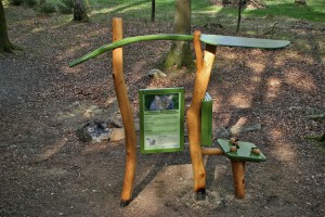 Lehrpfad grünes Klassenzimmer Massivholz Robinie Tischlerei Dresden Natur Erlebnis Pädagogik Spielplatzbau