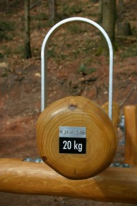 Lehrpfad grünes Klassenzimmer Massivholz Robinie Tischlerei Dresden Natur Erlebnis Pädagogik Spielplatzbau