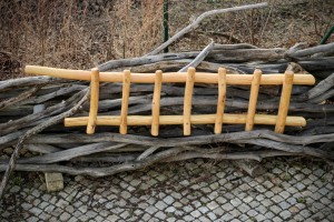 Garten Rankgerüst Pflanzen Kletterhilfe Spalier Dresden Tischlerei