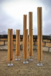 Pflanzen Rankhilfe Robinie Weinspalier aus Holz Garten Gestaltung Landschaftsbau Dresden Holz im Garten