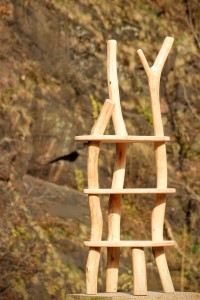 Regal Massivholz Buche Robinie Tischlerei Dresden Biomöbel