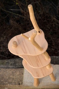 Regal Massivholz Robinie naturgewachsen Tischlerei Dresden