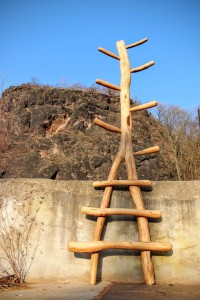 Spielplatz Aufstieg Hochbett Stockbett Robinie Rankgerüst Tischlerei Sinnesmagnet Dresden