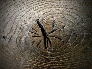 Geköhlte schwarze Eiche Gartenmöbel robust Holz köhlen