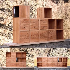 Systemmöbel Kernbuche flexibel zu kombinieren Büro Praxis Aktenschrank Massivholz Möbel Dresden