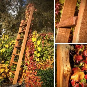 Hochbett-Leiter aus Eiche Heuboden-Leiter Massivholz Möbel Tischlerei Dresden