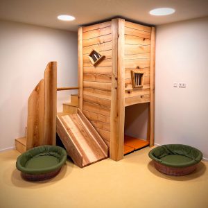 Schlafpodest Spielebene KITA Möbel Dresden